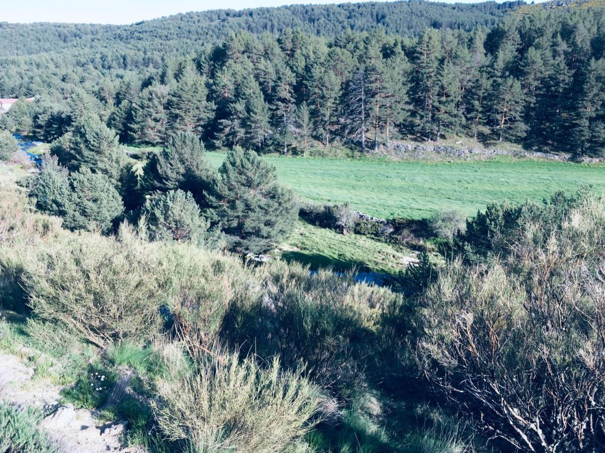 Artesano I Y III Casa de hóspedes Navarredonda de Gredos Exterior foto